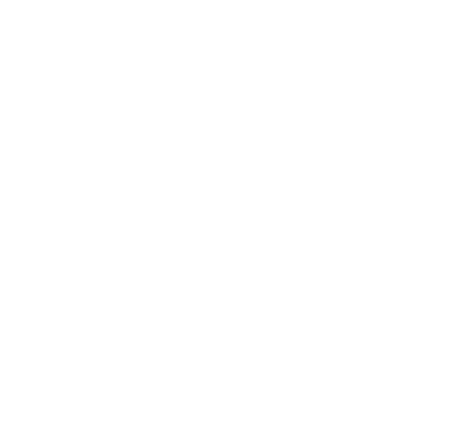 FireDepIsraelLOGOWHITE