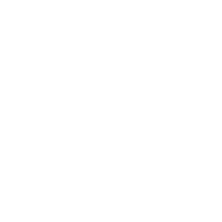 PREMIUM INS LOGO WHITE