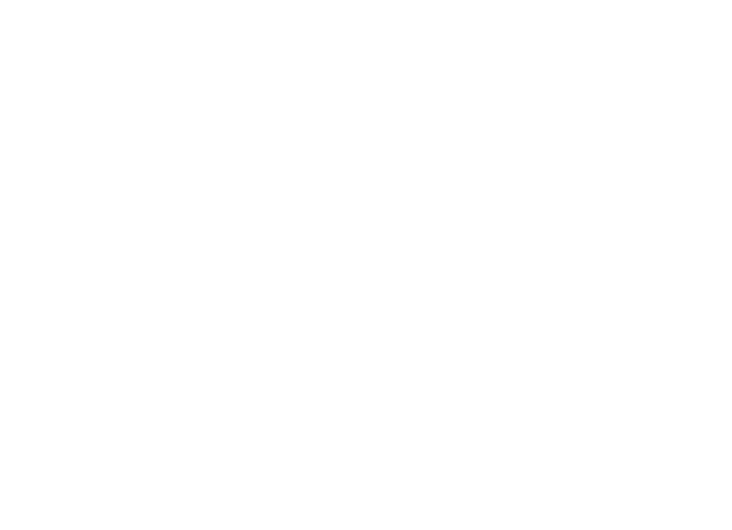 לוגו IMS לבן