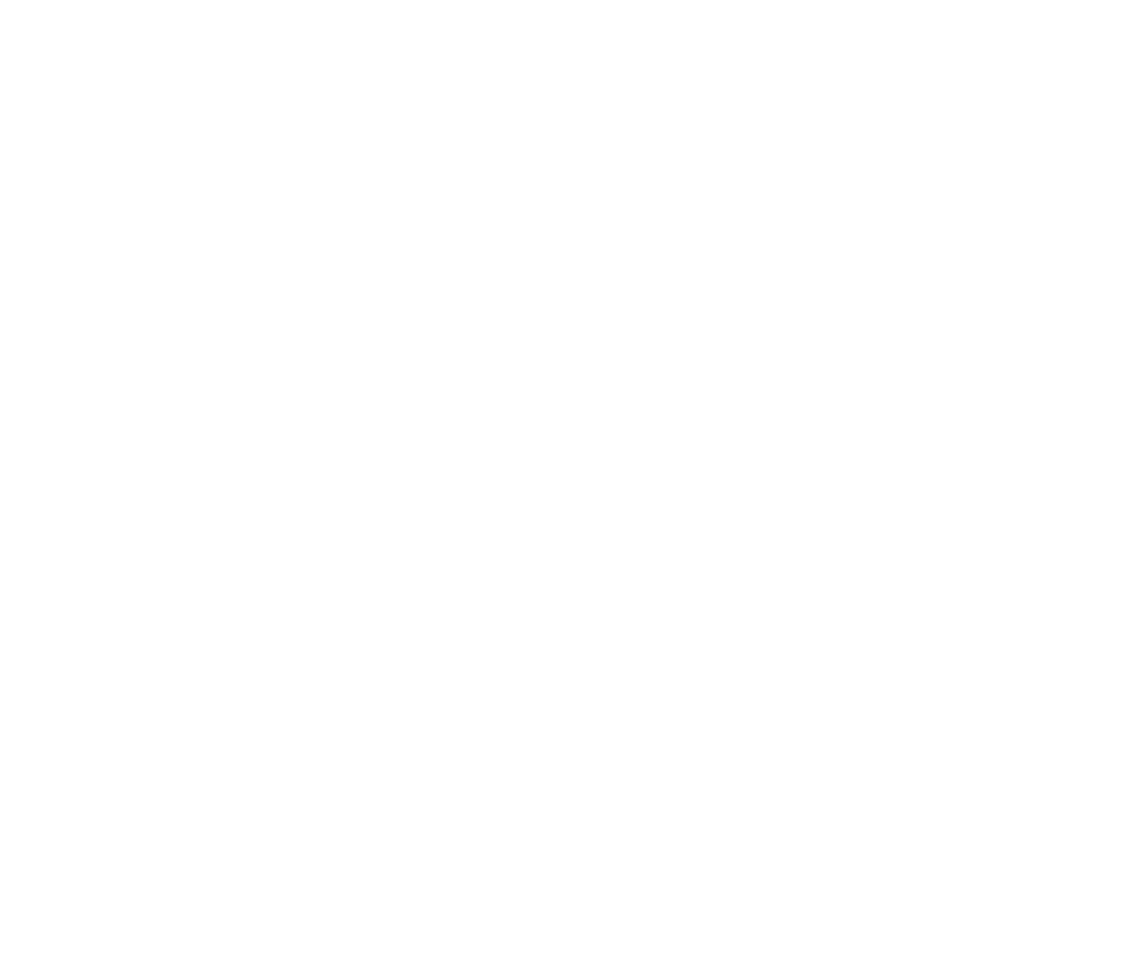עמית בורנשטיין לוגו לבן