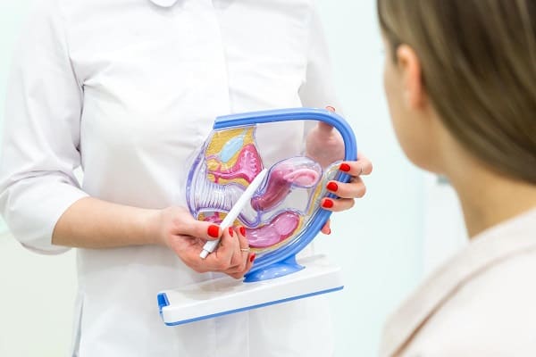 38909580 gynecologist doctor consulting patient using uterus anatomy model