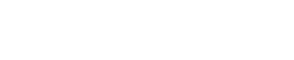 Isracard WHITE Logo