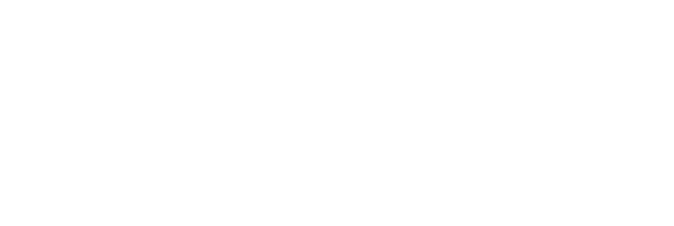 Logo Final White