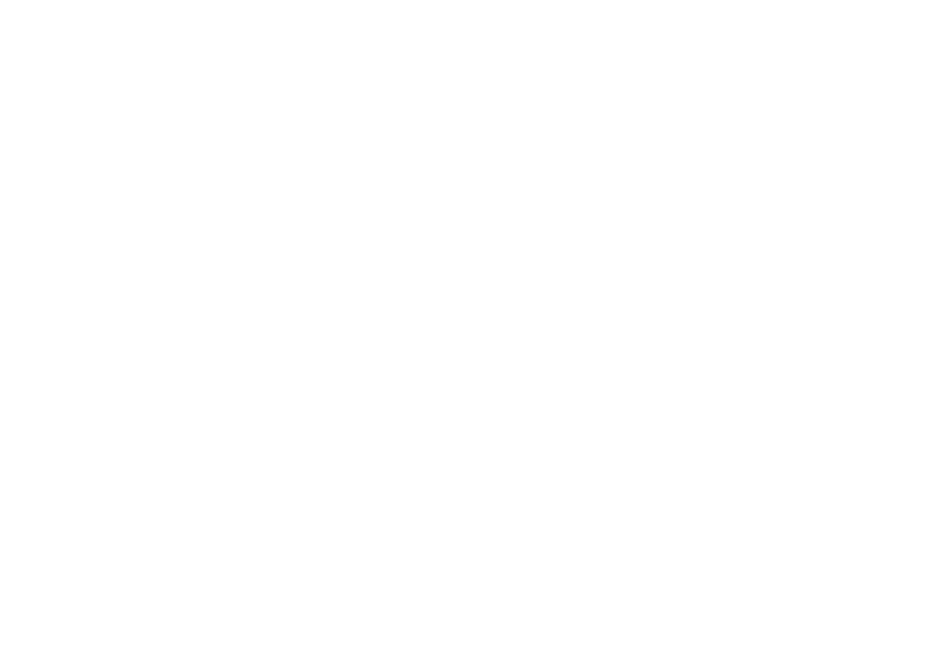 SEGEV LOGO WHITE