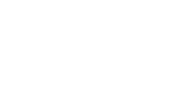 SS logoWHITE