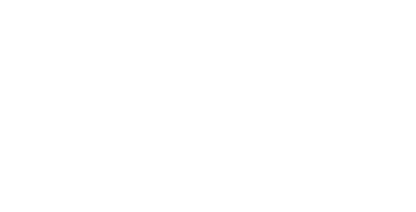 WHITE LOGO HONCHIC
