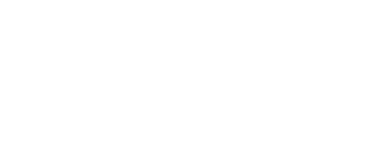 logo 2 white