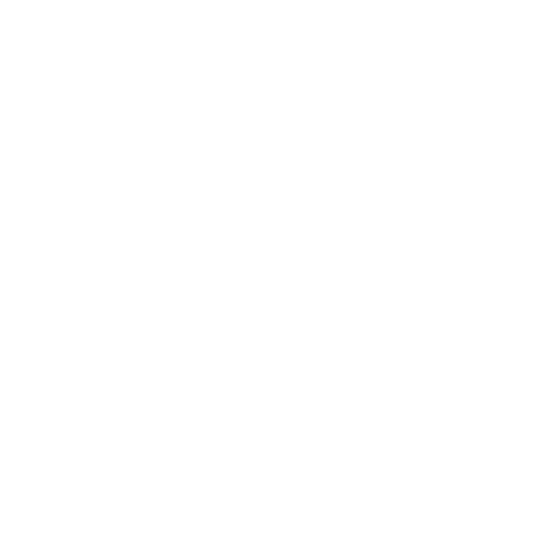 לוגו לבן 2