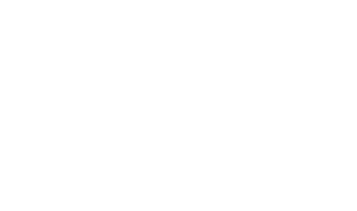 לוגו לבן 4