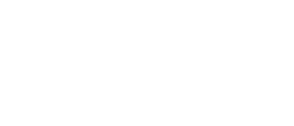 לוגו לבן אבי סהלו