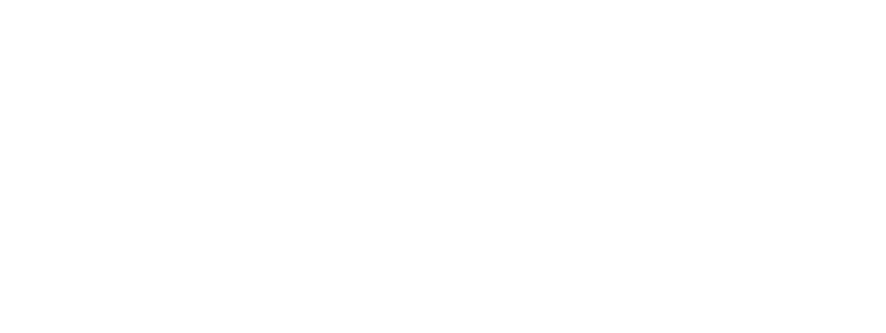 לוגו לבן ליז אריאלי 800X300 copy1