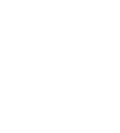 לפידים לוגו לבן ללא רקע