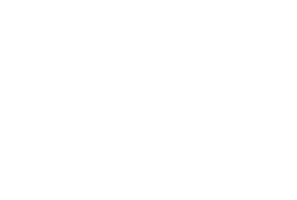 מינוף לוגו לבן